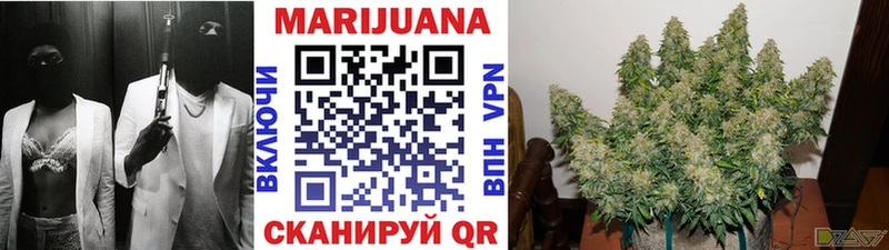 Бошки марихуана VHQ Купить Пятигорск